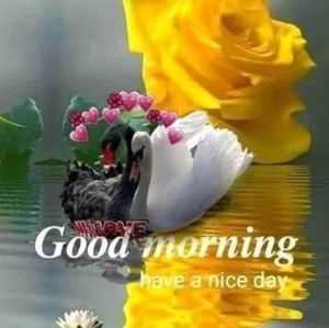 Meet your Posher, Vavuluru